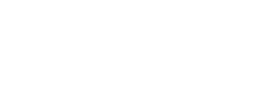 FLY CARD by El Al